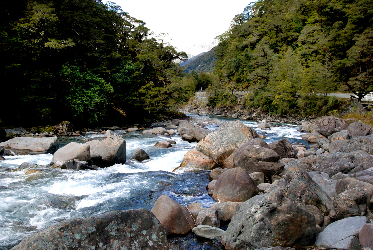 The Hollyford River Fiordland