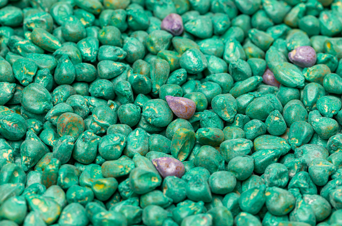 Treated seed