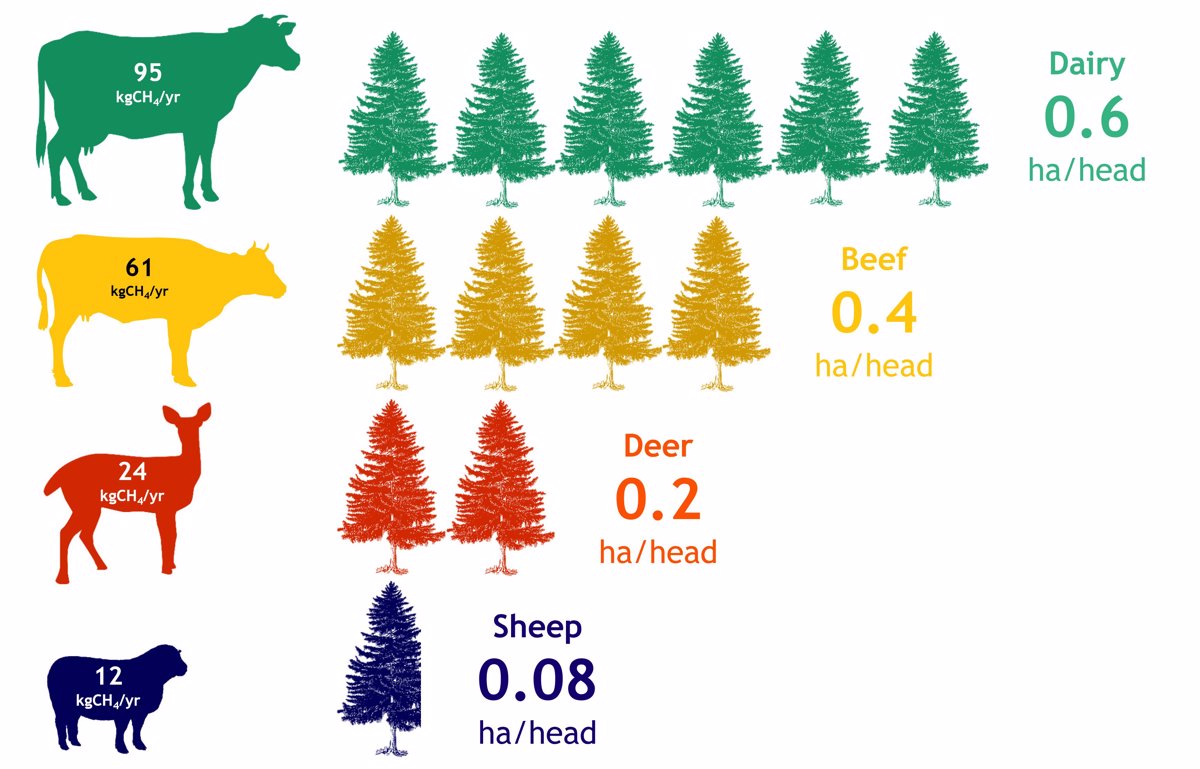 Methane figure hectares pine forest for one animal