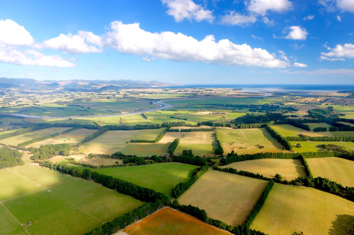 South Wairarapa District, Rob Suisted