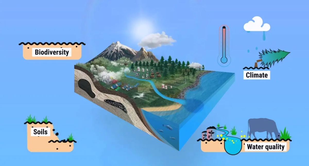 Farms Forests And Fossil Fuels Animation
