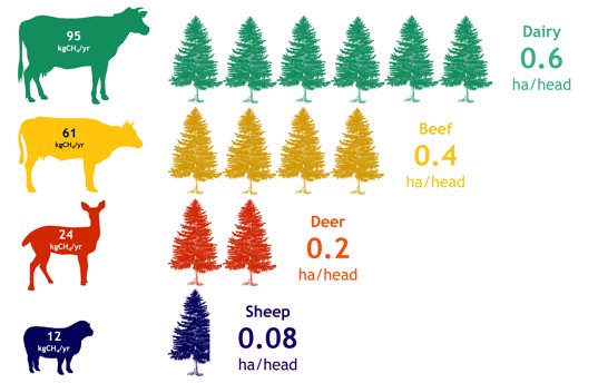 Infographic of ruminant animals and pine trees